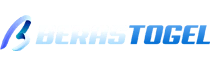 Logo BERASTOGEL